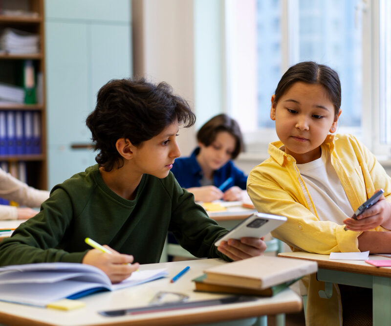 Academic Program: School Students